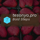 tesonyo.pro